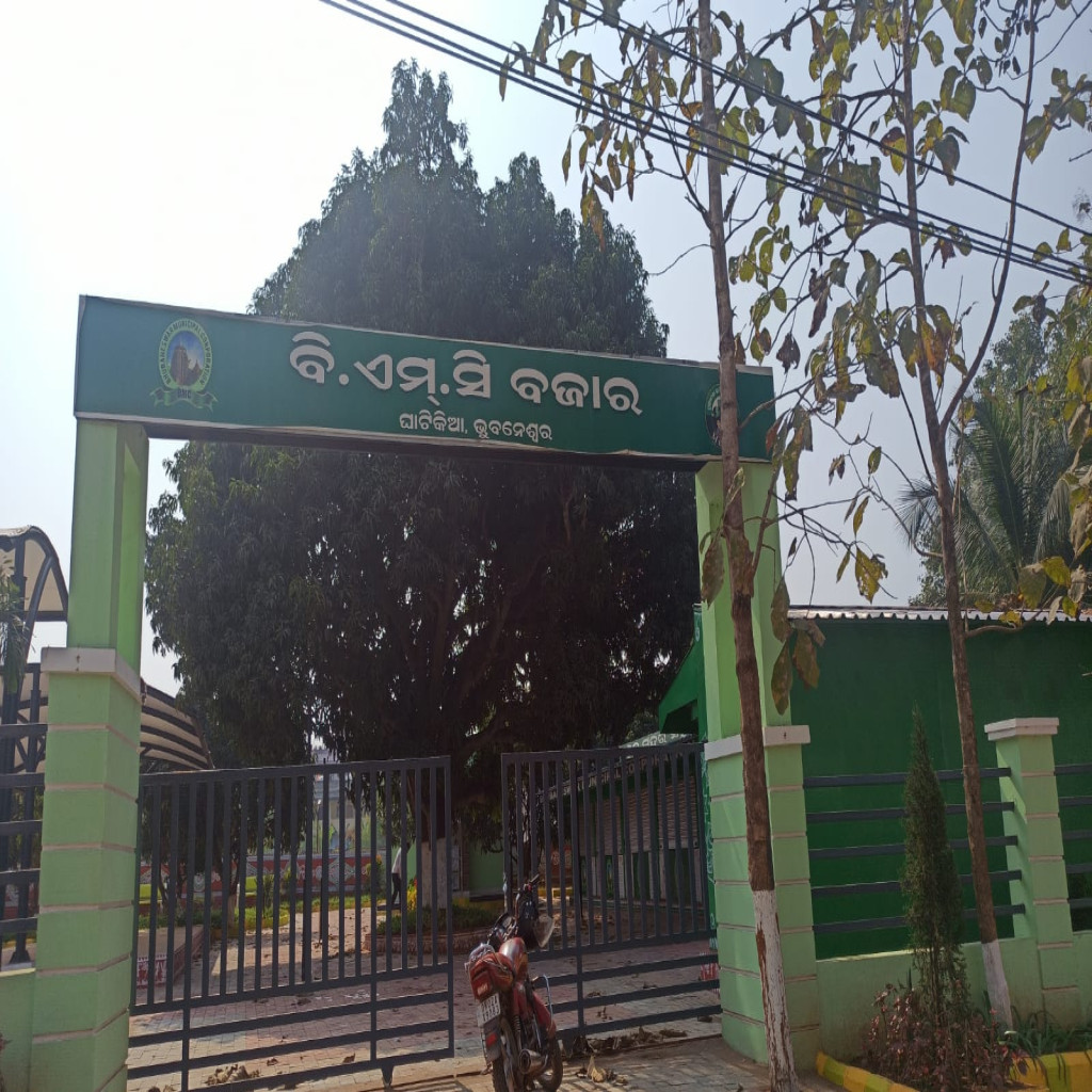 explore image